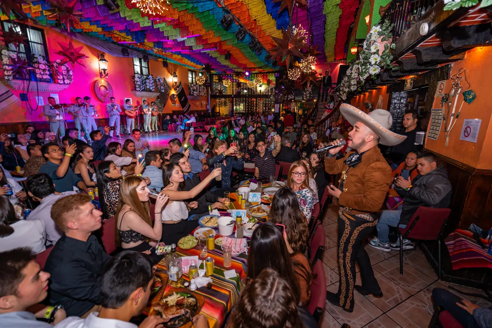 Garibaldi mariachi tacos night tour Mexico City